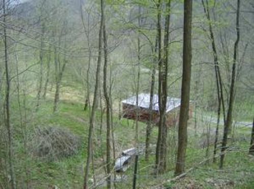 Viewing Image 7