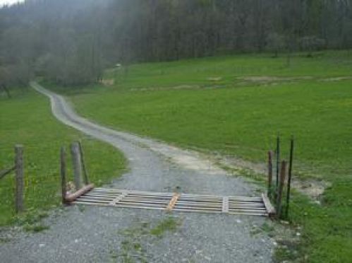 Viewing Image 12
