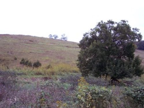 Land for Sale, ListingId:14070984, location: 5 Bud Ridge Road Union 24983