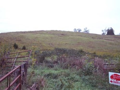 Viewing Image 5