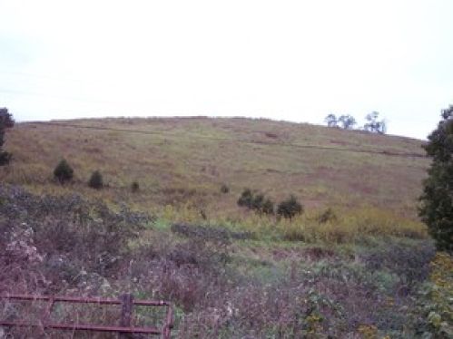 Viewing Image 6