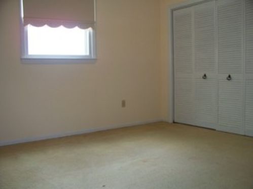 Viewing Image 11