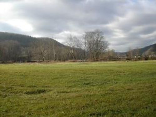 Viewing Image 2
