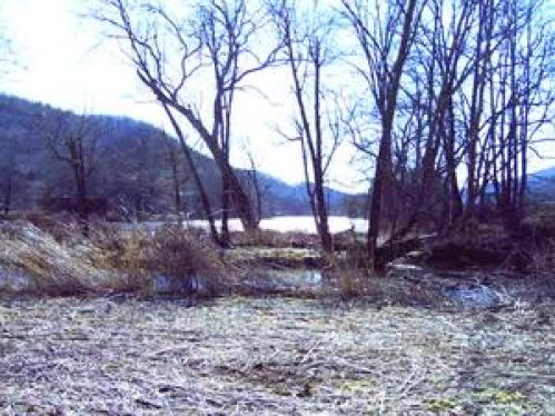 Viewing Image 6