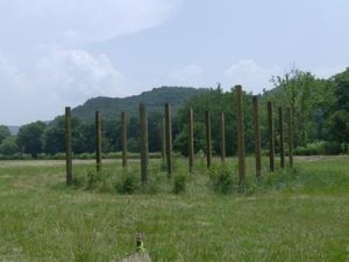 Viewing Image 7