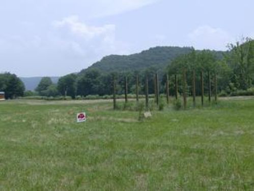 Viewing Image 9