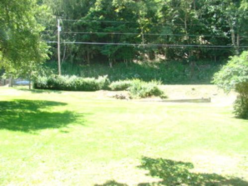 Viewing Image 3
