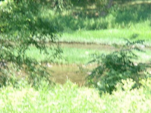Viewing Image 7
