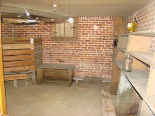 Viewing Image 31