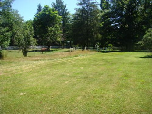 Viewing Image 35