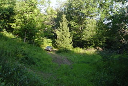 Real Estate for Sale, ListingId:15655609, location: 001 Rt. 60 Rainelle 25962