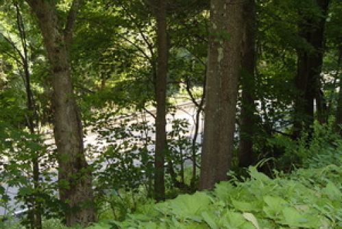 Viewing Image 14