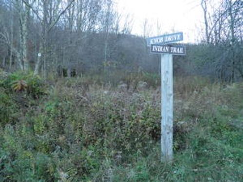 Land for Sale, ListingId:15955384, location: 5 slatyridge 5 Slatyfork 26209