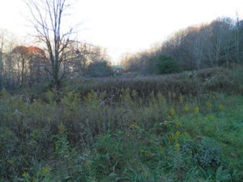 Land for Sale, ListingId:15955385, location: 6 slatyridge 6 Slatyfork 26209