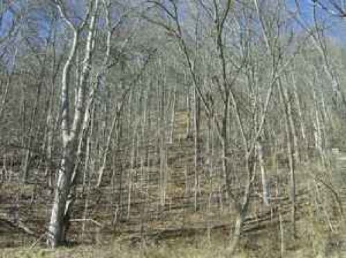 Viewing Image 4
