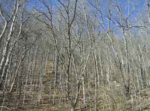 Viewing Image 5