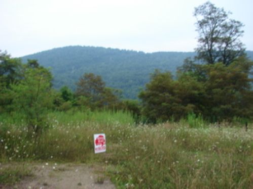 Land for Sale, ListingId:16120481, location: 5 Headwaters Dr. 5 Slatyfork 26209
