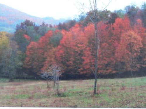 Single Family Home for Sale, ListingId:16239959, location: 2 sunset mountain 107 Slatyfork 26209
