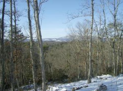 Viewing Image 6