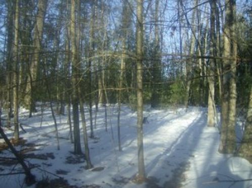 Real Estate for Sale, ListingId:16399373, location: 1 Peaceful Lane Marlinton 24954