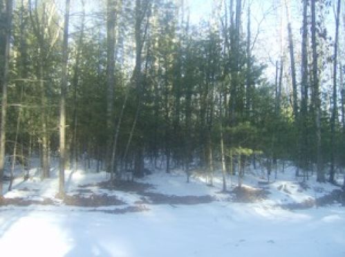 Viewing Image 2