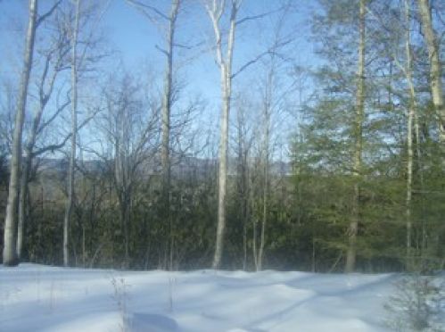 Viewing Image 7