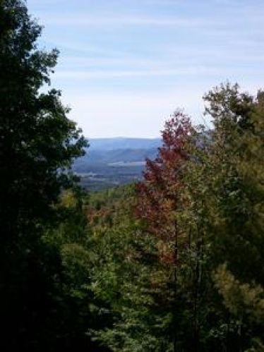 Viewing Image 4