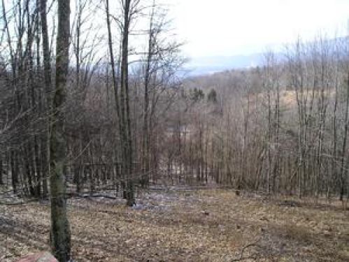 Viewing Image 18