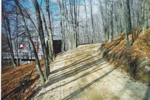 Viewing Image 19