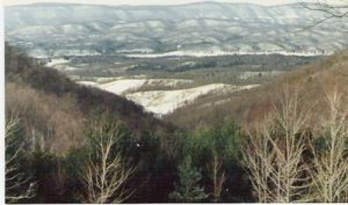 Viewing Image 21