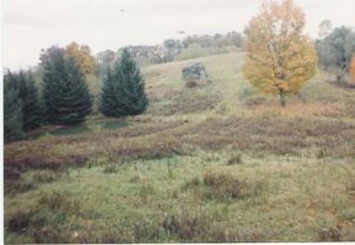 Viewing Image 22