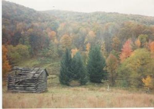 Viewing Image 23