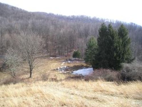 Viewing Image 30