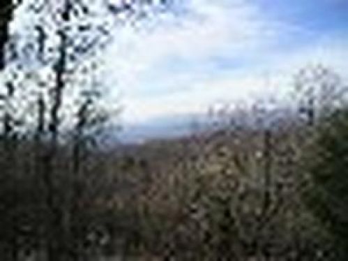 Viewing Image 35