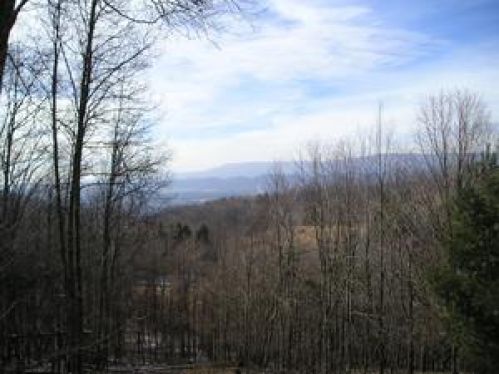 Viewing Image 37