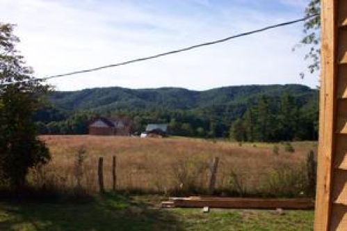 Viewing Image 6