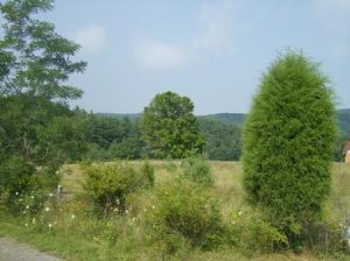 Viewing Image 19