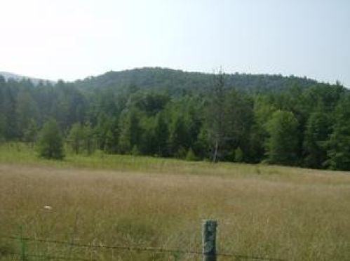 Viewing Image 20