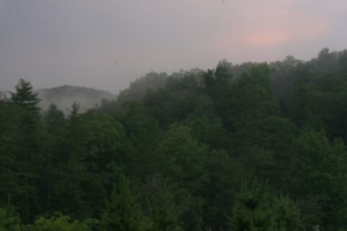 Viewing Image 21
