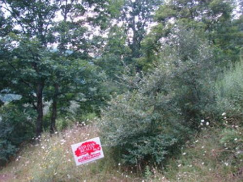 Land for Sale, ListingId:16591394, location: 2 Headwaters Rd Lot 4 Slatyfork 26209