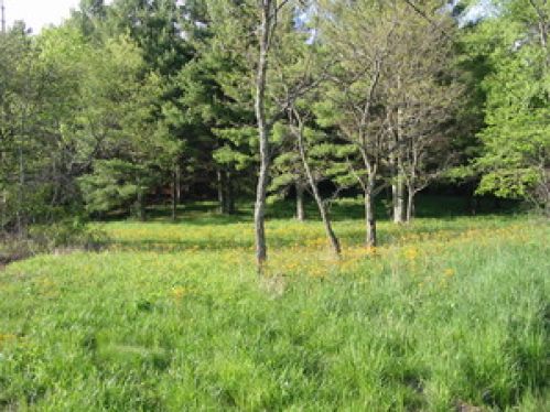 Land for Sale, ListingId:16604231, location: 1 Watoga Woods All Marlinton 24954