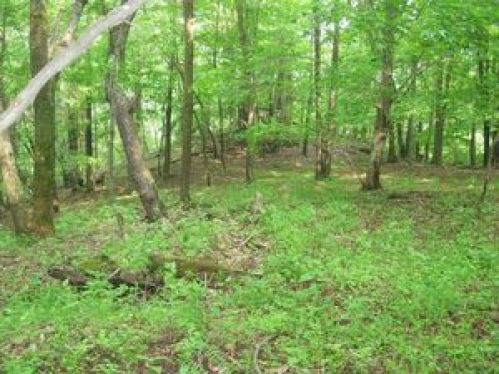 Land for Sale, ListingId:16656502, location: 4 Marple Rd Valley Head 26294