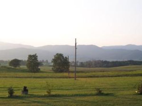 Viewing Image 10