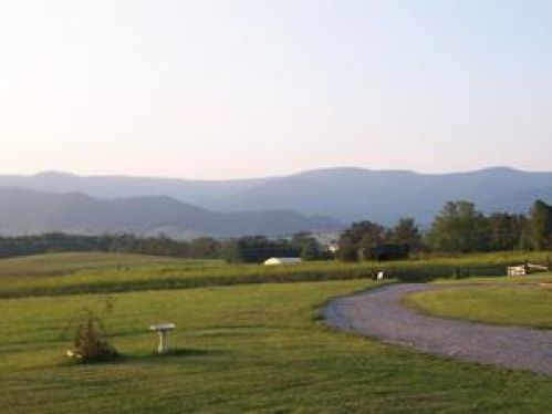 Viewing Image 11