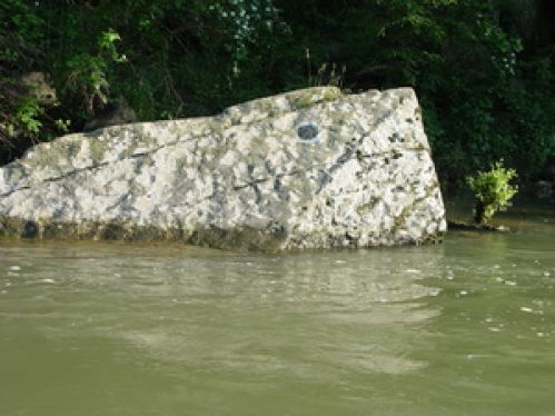 Viewing Image 10