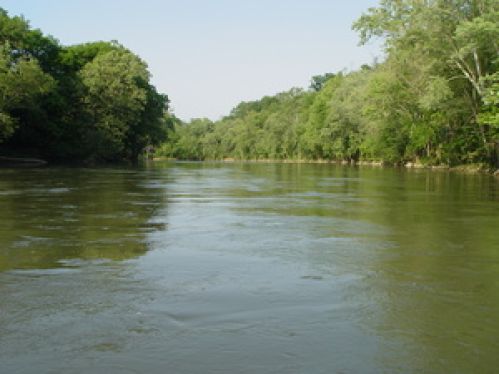 Viewing Image 11