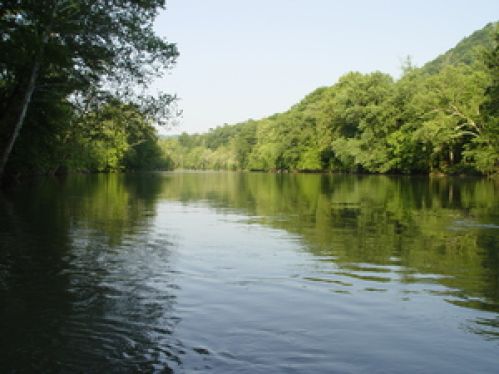 Viewing Image 13