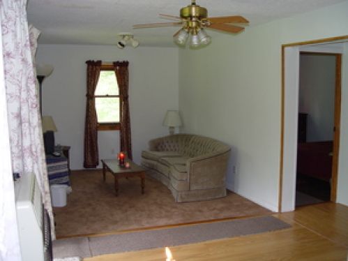Viewing Image 31