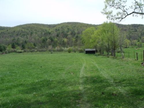 Land for Sale, ListingId:16742096, location: 900 Shiflett Parkway Gap Mills 24941