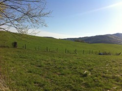 Land for Sale, ListingId:16753971, location: 1 Bucks Run Rd Marlinton 24954